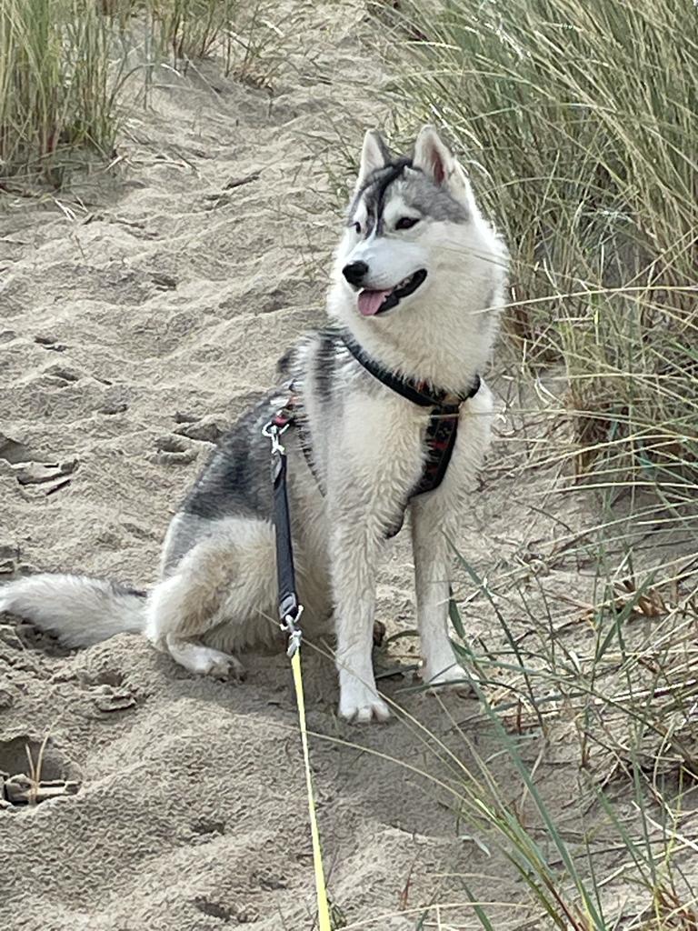 Skye am Strand